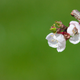 Image for article titled Shooting Challenge: Spring